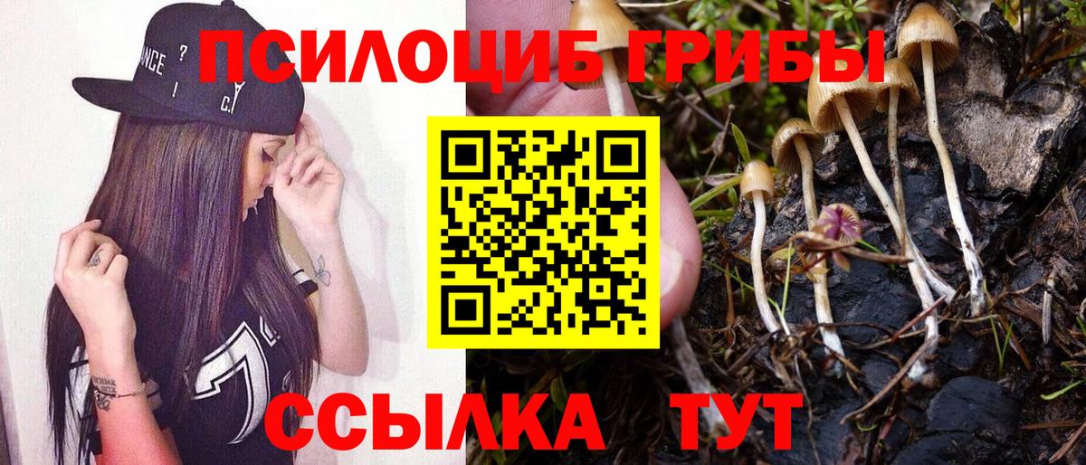 Псилоцибиновые грибы GOLDEN TEACHER  Вход с VPN  Медногорск 